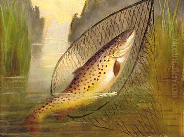 A trout in a net Oil Painting by A. Roland Knight