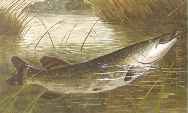 Hooking a pike Oil Painting by A. Roland Knight