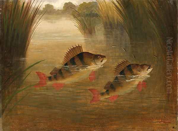 Perch Rising Oil Painting by A. Roland Knight