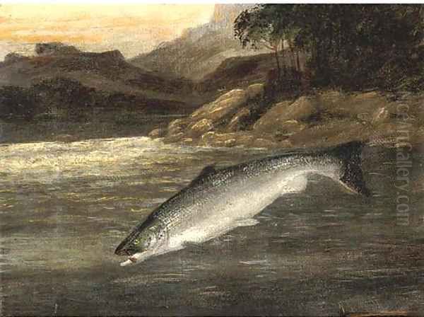 Salmon rising Oil Painting by A. Roland Knight