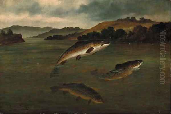 Trout rising Oil Painting by A. Roland Knight