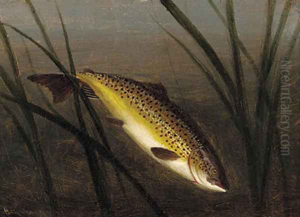 A trout on a line Oil Painting by A. Roland Knight