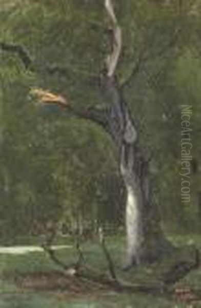 Un Arbre Mort Sous Bois Oil Painting by Jean-Baptiste-Camille Corot