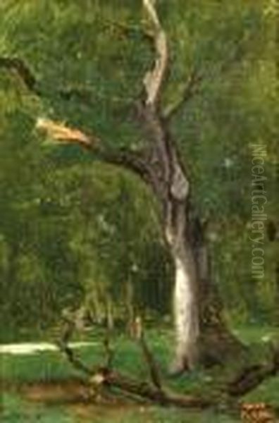 Un Arbre Mort Sous-bois Oil Painting by Jean-Baptiste-Camille Corot