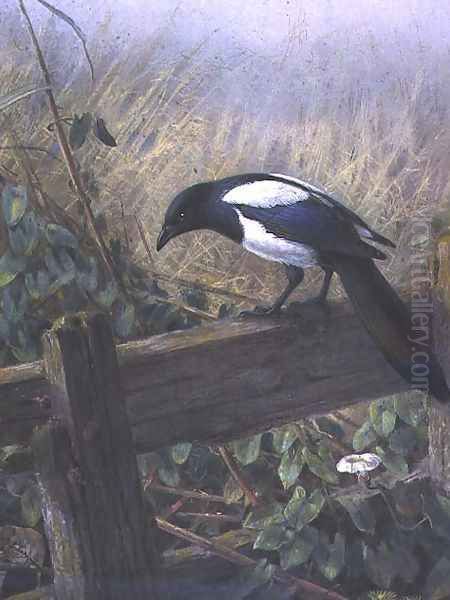 The Magpie Oil Painting by Johan Gerard Keulemans