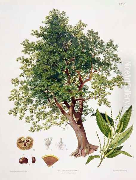 Sweet Chestnut Oil Painting by Johann Kautsky