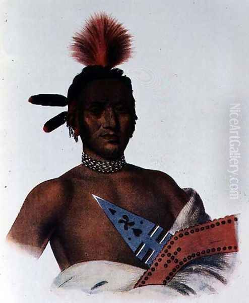 Moa Na Hon Ga or Great Walker an Iowa Chief Oil Painting by Charles Bird King