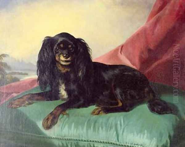 A King Charles Spaniel on a Green Cushion Oil Painting by Ferdinand Krumholz