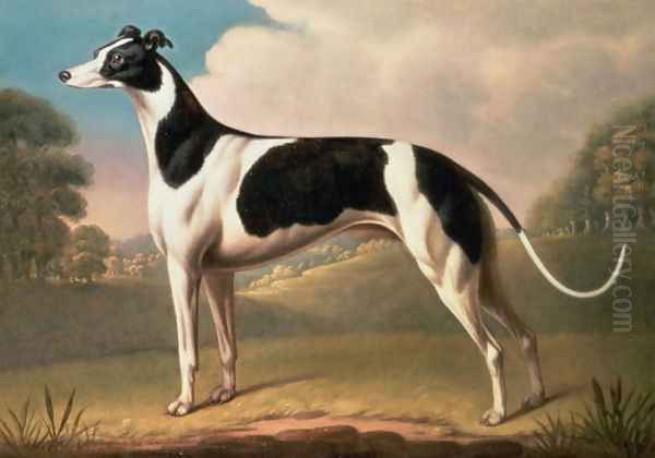 Greyhound 2 Oil Painting by Benjamin Killingbeck