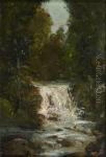 Cascade Dans Un Sous-bois Oil Painting by Gustave Courbet