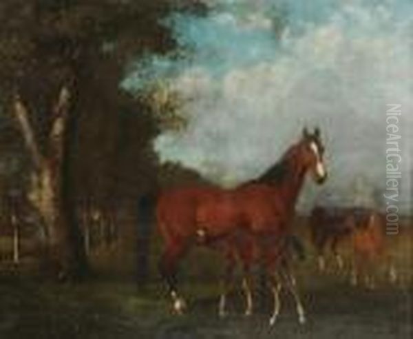 Poulinieres Et Foals Au Paddock Oil Painting by Gustave Courbet