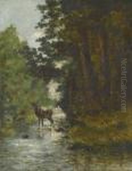 Waldpartie Mit Hirsch An Einem Bachufer. Oil Painting by Gustave Courbet