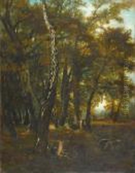 Sous Bois Avec Cerfs Et Biches. Oil Painting by Gustave Courbet