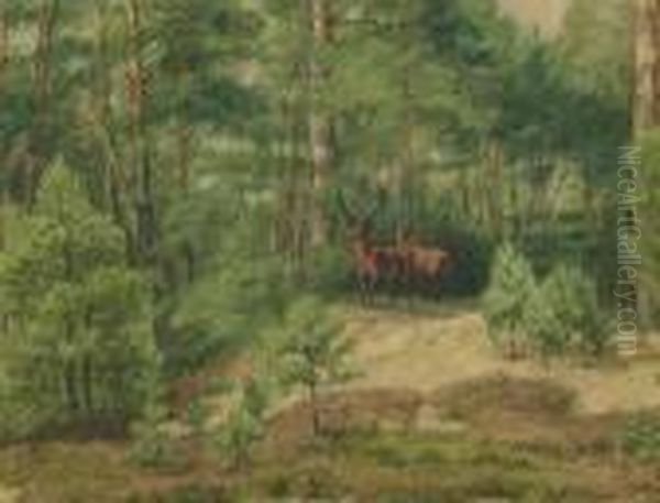 Waldlichtung Mit Hirsch Und Reh Oil Painting by Gustave Courbet