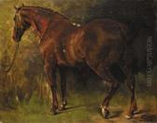 Le Cheval Anglais De M. Duval Oil Painting by Gustave Courbet