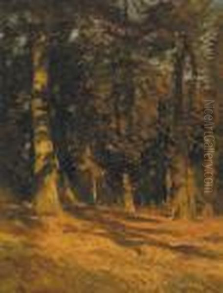 Debut D'automne - Derniers Rayons Oil Painting by Frans Courtens