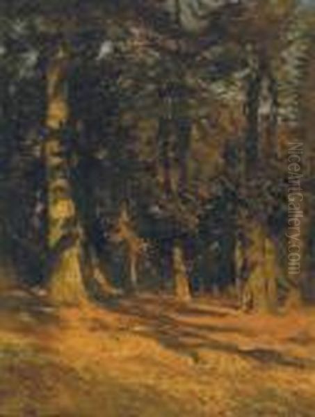 Debut D'automne -derniers Rayons Oil Painting by Frans Courtens