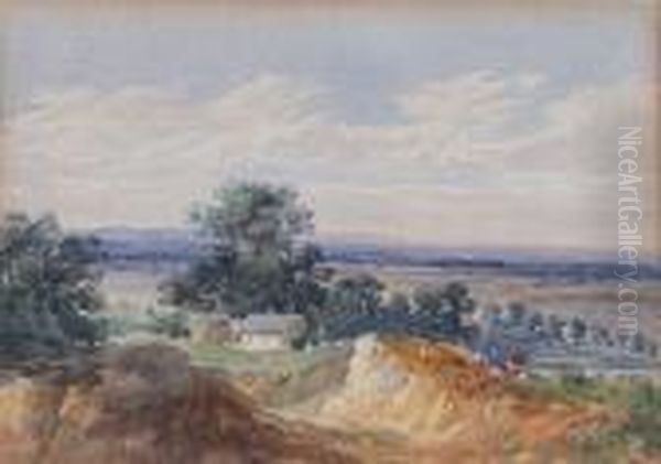 Hampsted Heath Oil Painting by David I Cox