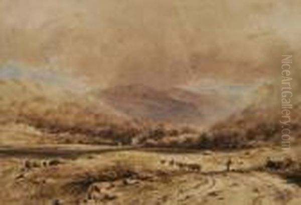 A Mountainous Landscape With A Herd Of Cattle In The
Foreground Oil Painting by David I Cox