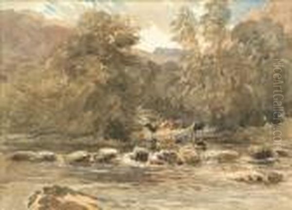 Wooded Scene Cattle Watering Oil Painting by David I Cox