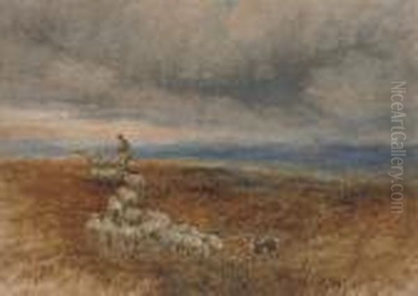 A Shepherd With His Flock Oil Painting by David I Cox