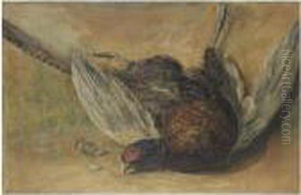 A Cock Pheasant Oil Painting by David I Cox