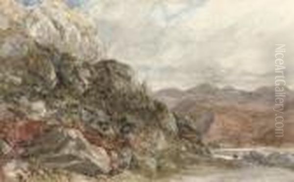 A Rocky Landscape Near Barmouth, North Wales Oil Painting by David I Cox