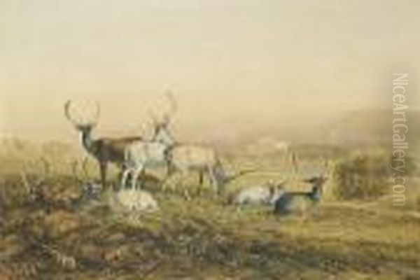 Fallow Deer In The Park, Chatsworth Oil Painting by David I Cox