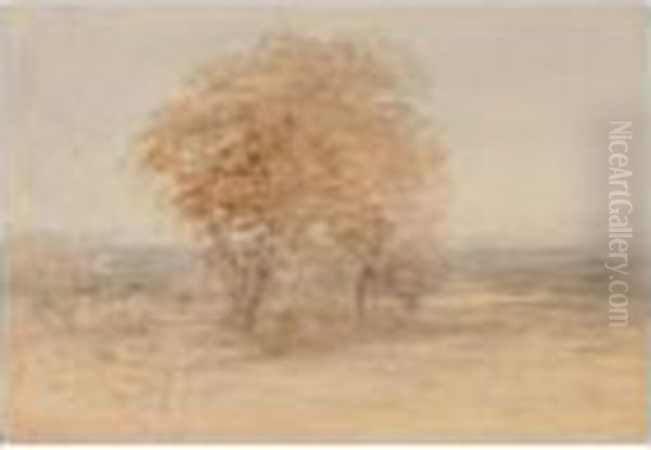 Tree In Landscape; Country Lane; Shore Landscape Oil Painting by David I Cox