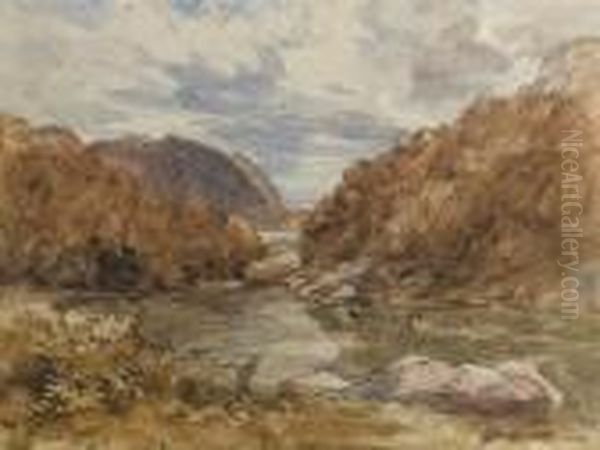 Pont-y-pair, Near Bettws-y-coed, Wales Oil Painting by David I Cox