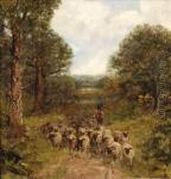 A Lane In Wales Oil Painting by David Cox