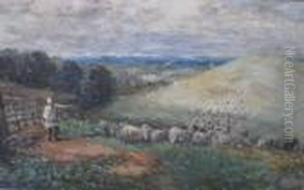 And Sheep Oil Painting by David Cox