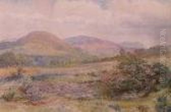 The Vale Of Clwyd Oil Painting by David Cox