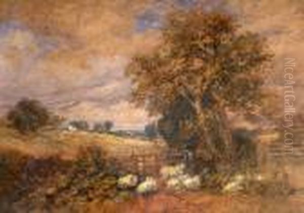 Sheep In A Landscape Oil Painting by David Cox