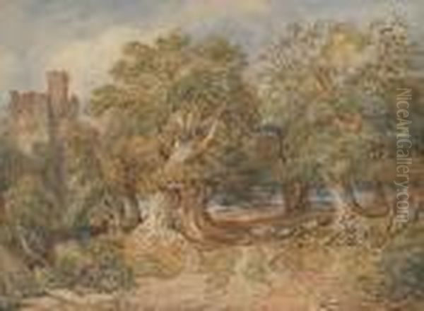 Near Bawley, Staffordshire Oil Painting by David Cox