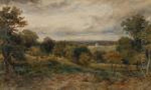 A View Of Richmond Park Oil Painting by David Cox