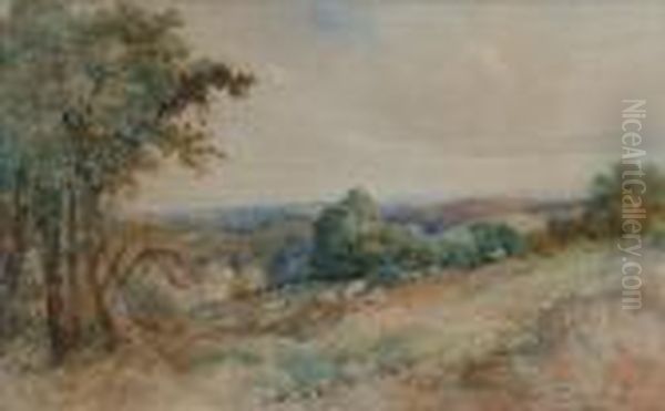 Sheep On Ahillside Oil Painting by David Cox