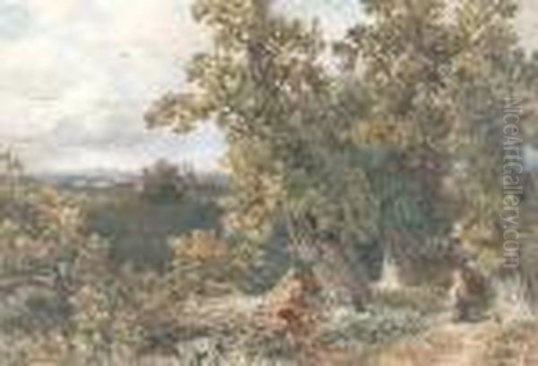 Woman In A Wood Near Windsor Oil Painting by David Cox