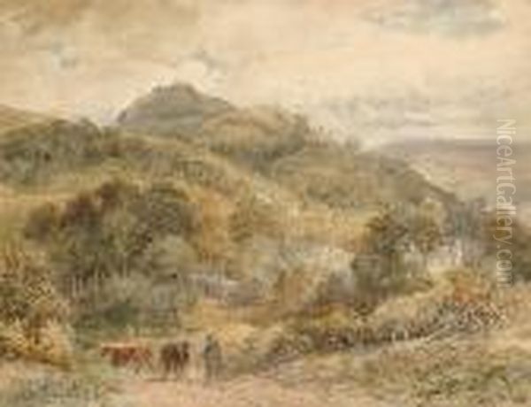 Drover With Cattle In A Country Lane Oil Painting by David Cox