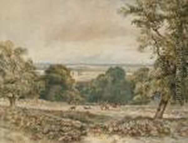 Deer In Wynnstay Park Oil Painting by David Cox