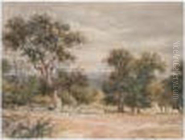 Landscape With Trees Oil Painting by David Cox