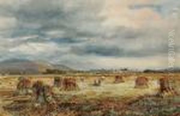 The Harvesters Oil Painting by David Cox