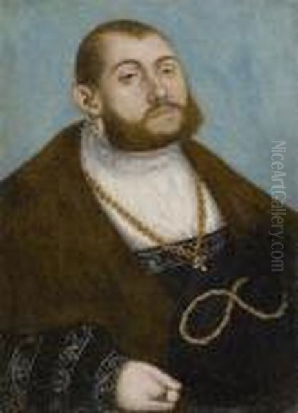 Portrait Ofjohann Friedrich The Magnanimous, Elector Of Saxony Oil Painting by Lucas The Elder Cranach