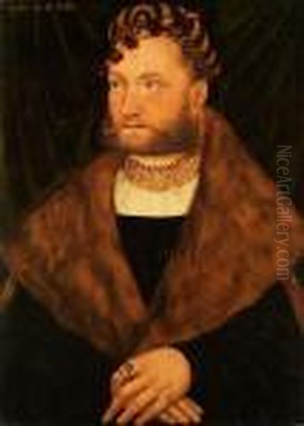 Portrait Eines Bartigen Mannes Oil Painting by Lucas The Elder Cranach