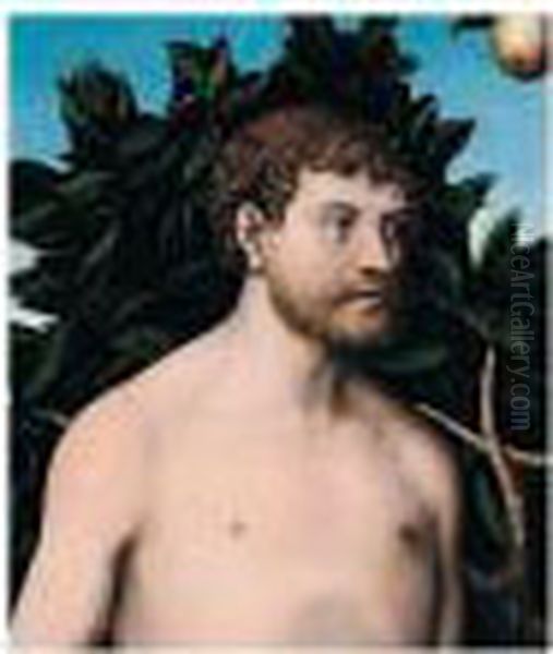 Adam Oil Painting by Lucas The Elder Cranach