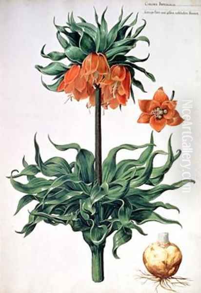 Fritillaria imperialis Oil Painting by Pieter van Kouwenhoorn