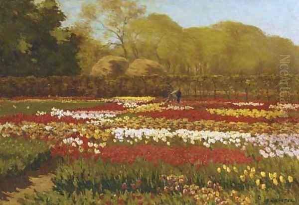 A beautiful day in a tulipfield Oil Painting by Anton Lodewijk Koster