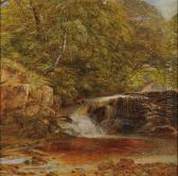 Forest Interior/a Northumberland, England View Oil Painting by Thomas Creswick