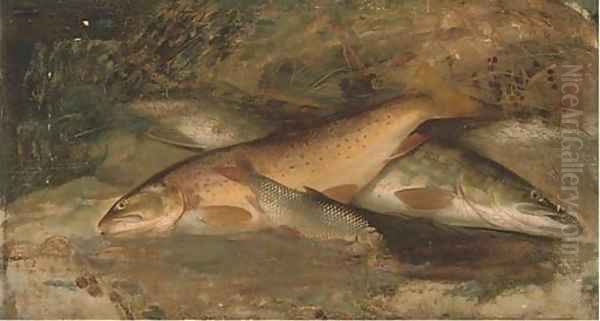 Rainbow trout, pike and perch Oil Painting by A. Roland Knight