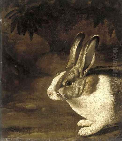 A rabbit in a rocky undergrowth Oil Painting by David de Koninck